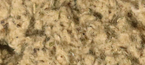 ������(8883��AMG)�ٷ���վ